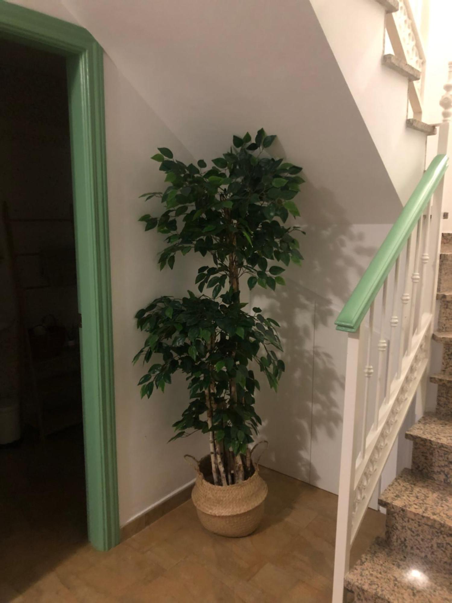 Duplex Penthouse "Playa Y Palmeras" Benalmádena Εξωτερικό φωτογραφία